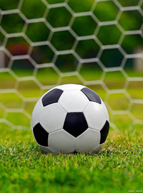 Chinese mainland Hong Kong and Macao rally with donations after deadly Tai Po fire